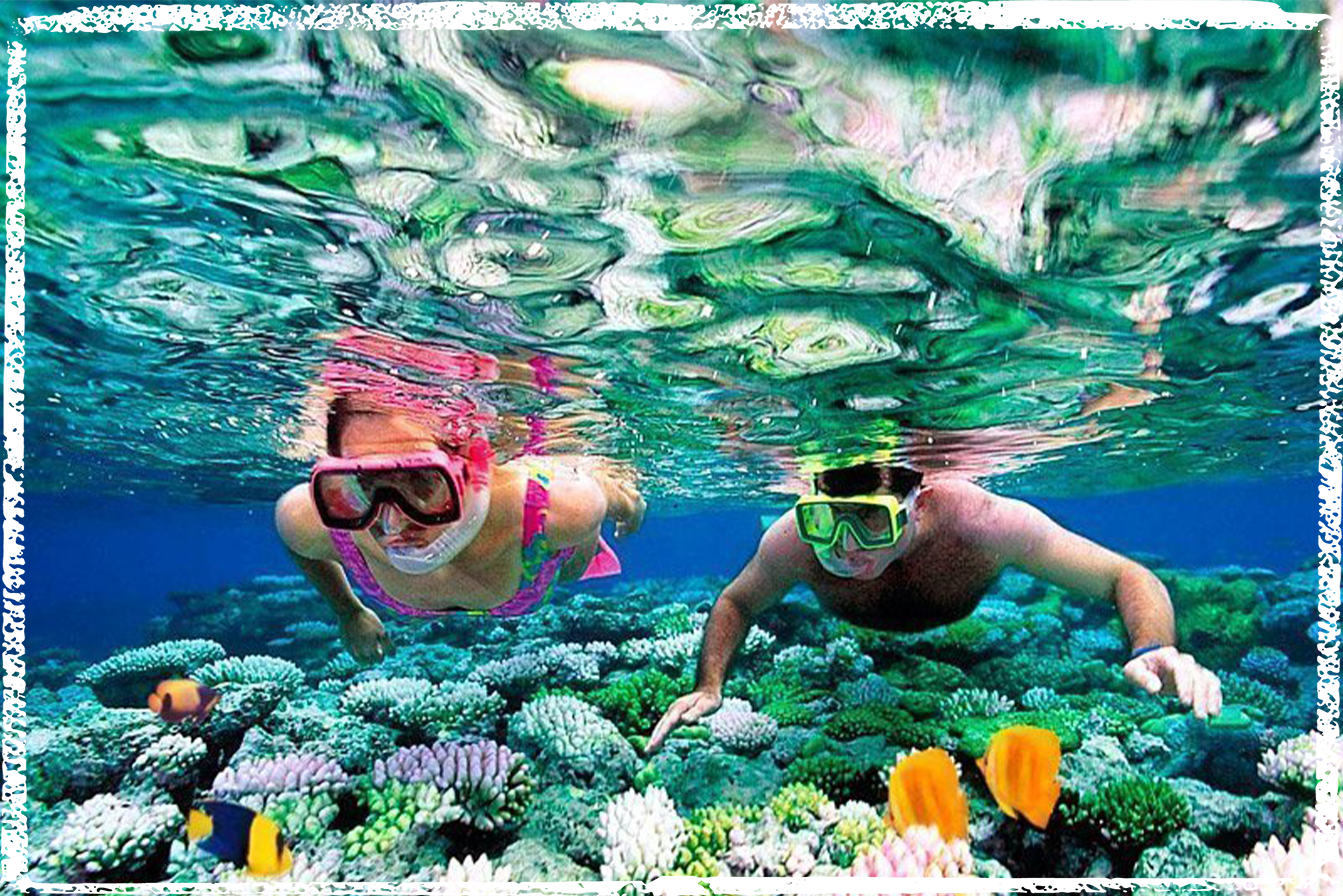 chalkborder_EBB_couplesnorkles_20241002